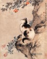 Shenquan Katze traditionellen chinesischen